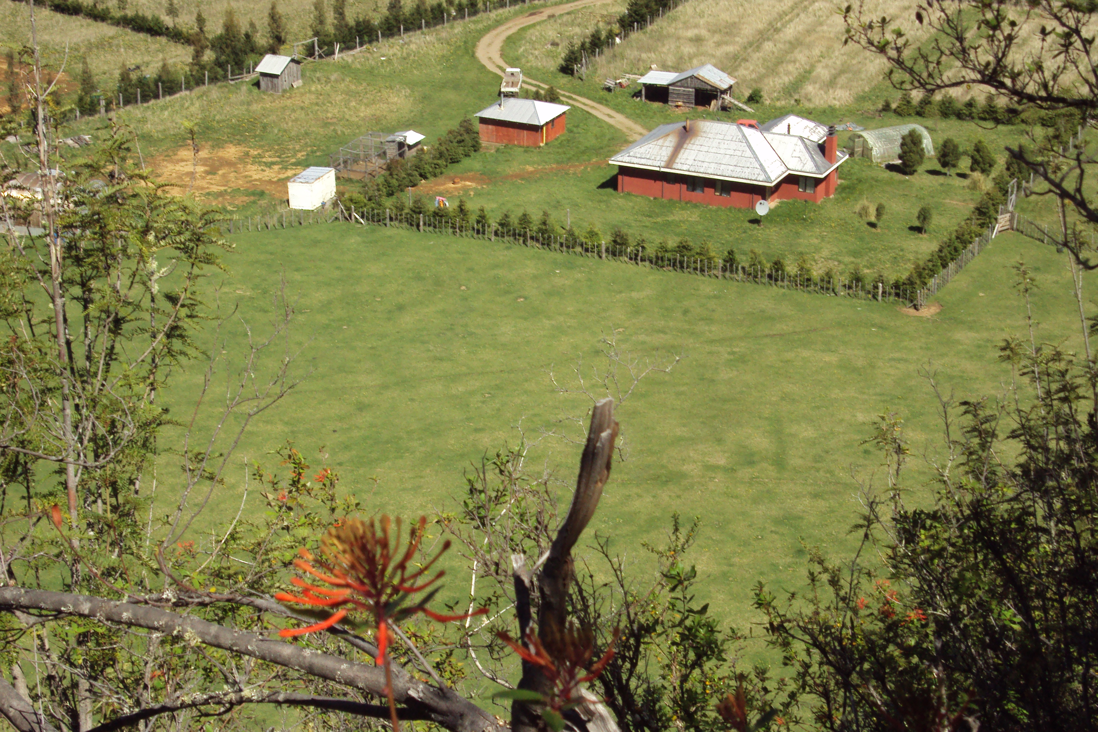 Vista aérea Fundo La Pampita 2014, Manihuales, Aysén